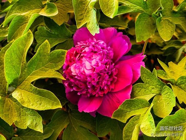 【两亿看神都】郑州星部落线下活动回顾 【两亿看神都】郑州星部落线下活动回顾