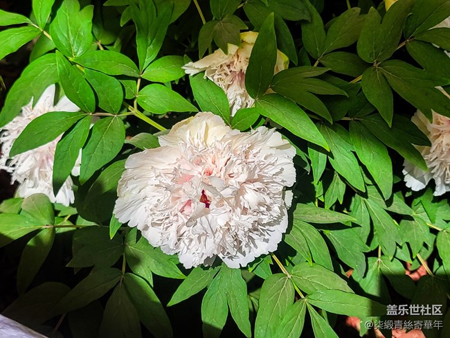 【两亿看神都】郑州星部落线下活动回顾 【两亿看神都】郑州星部落线下活动回顾