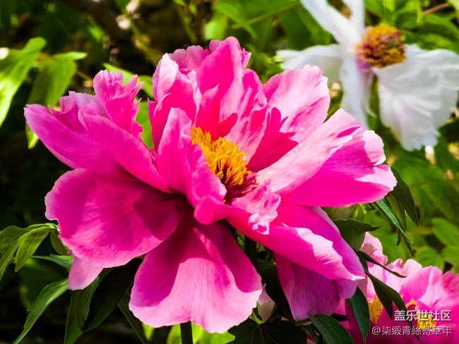 【两亿看神都】郑州星部落线下活动回顾 【两亿看神都】郑州星部落线下活动回顾