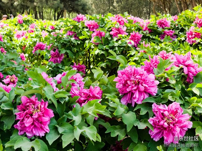 【两亿看神都】郑州星部落线下活动回顾 【两亿看神都】郑州星部落线下活动回顾