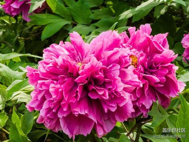 【两亿看神都】郑州星部落线下活动回顾 【两亿看神都】郑州星部落线下活动回顾