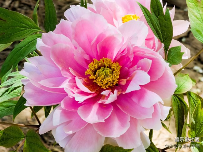 【两亿看神都】郑州星部落线下活动回顾 【两亿看神都】郑州星部落线下活动回顾