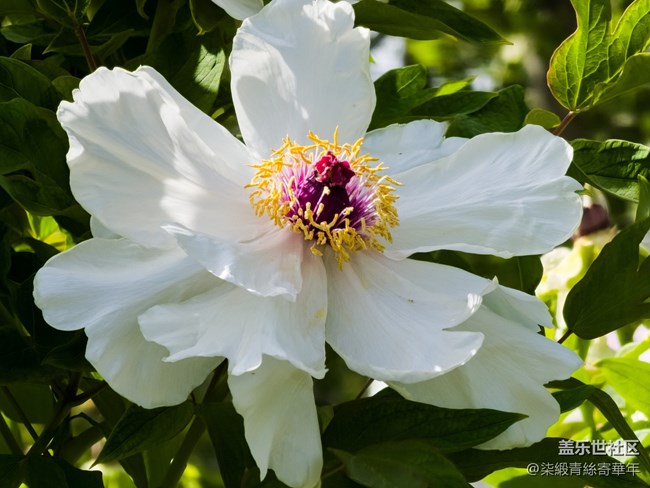【两亿看神都】郑州星部落线下活动回顾 【两亿看神都】郑州星部落线下活动回顾