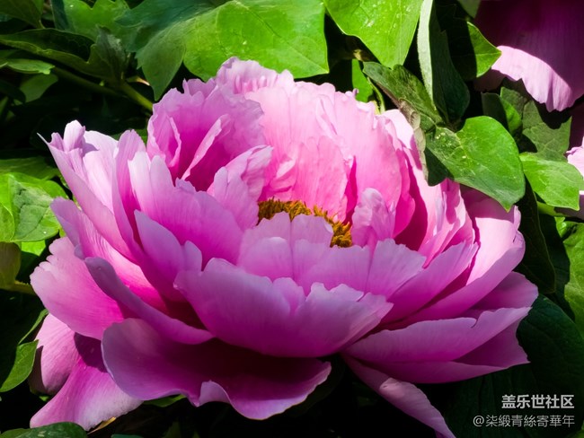 【两亿看神都】郑州星部落线下活动回顾 【两亿看神都】郑州星部落线下活动回顾