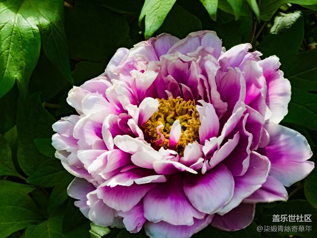 【两亿看神都】郑州星部落线下活动回顾 【两亿看神都】郑州星部落线下活动回顾