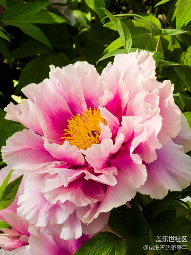 【两亿看神都】郑州星部落线下活动回顾 【两亿看神都】郑州星部落线下活动回顾