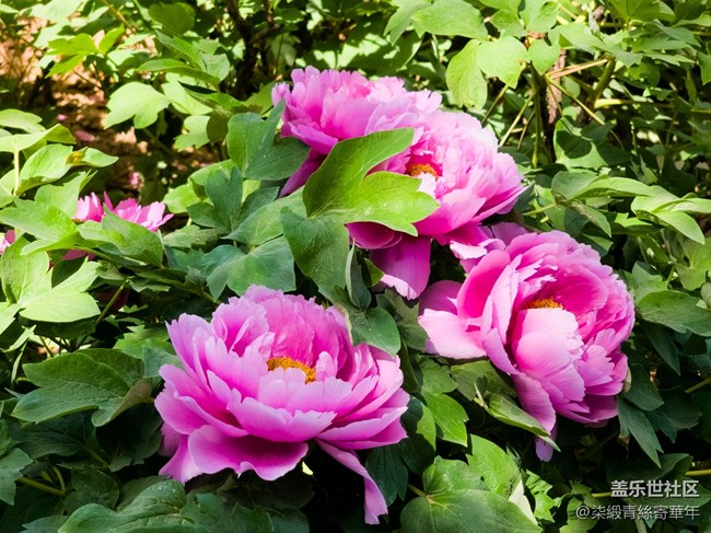 【两亿看神都】郑州星部落线下活动回顾 【两亿看神都】郑州星部落线下活动回顾